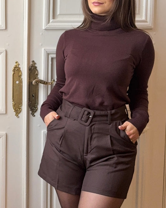 Pull col roulé Marron