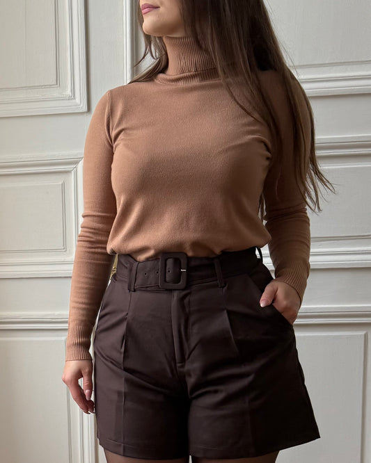 Pull col roulé Beige